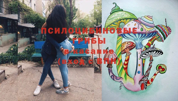 марки nbome Богородицк